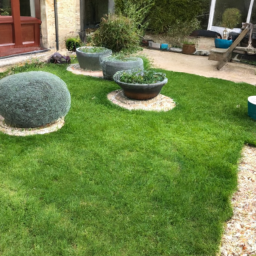 Techniques de taille pour maintenir un jardin esthétique et en bonne santé Périgueux